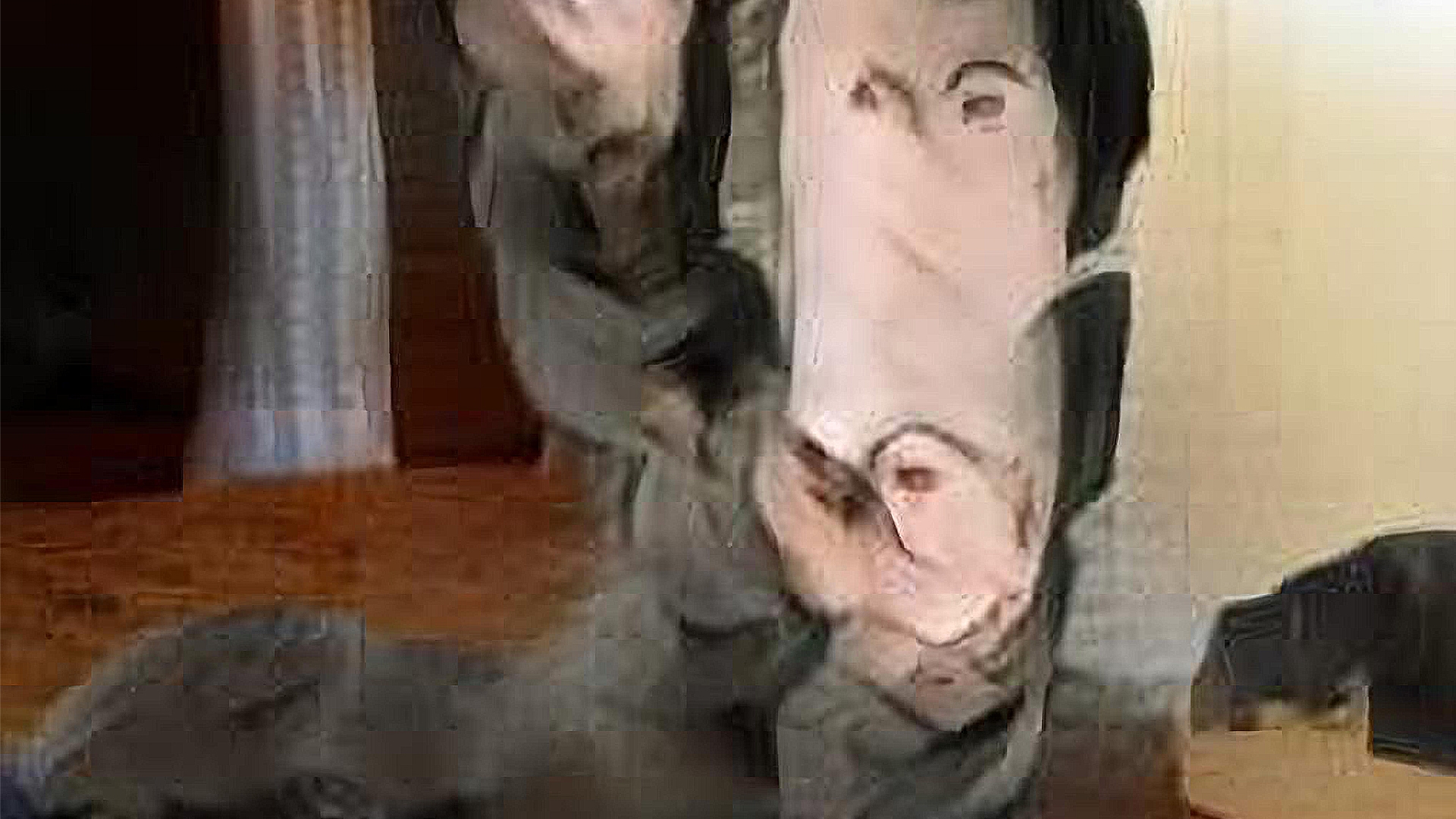 做夢者夢境圖像